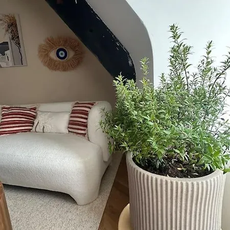 Daire Myrtus De Gamme